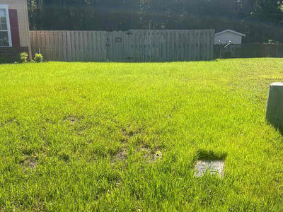 Lawn care service in Yulee, 32097