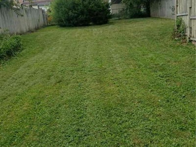 Lawn care service in Cincinnati, 45238