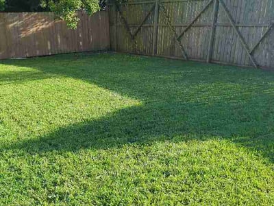 Lawn care service in New Orleans, 70126