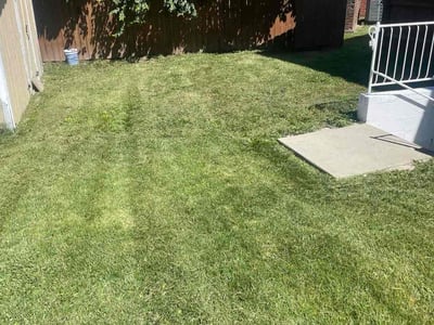 Lawn care service in Cincinnati, 45239