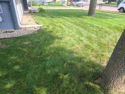 Lawn care service in Sioux Falls, 57106