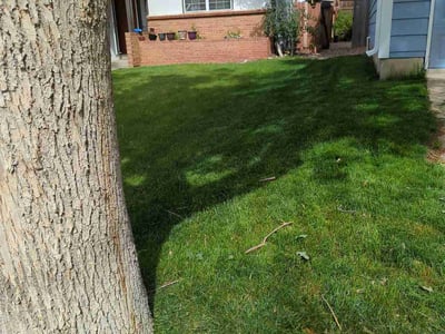 Lawn care service in Aurora, 80017