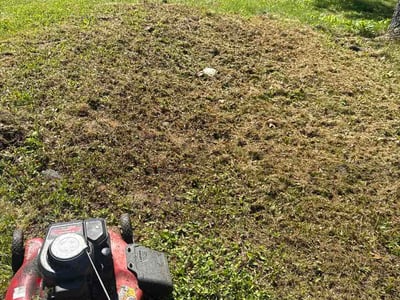 Lawn care service in Duluth, 55804
