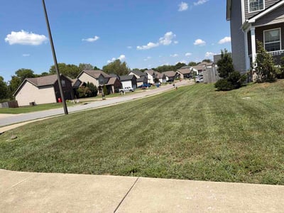 Lawn care service in Clarksville, 37042