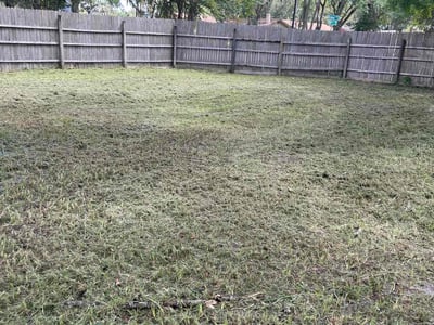 Lawn care service in Jacksonville, 32244