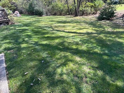 Lawn care service in Dublin, 43017