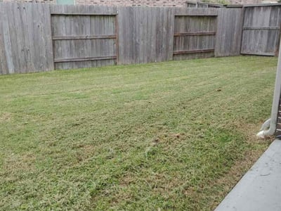 Lawn care service in Texas City, 77510