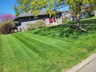 Lawn care service in Columbus, 43204