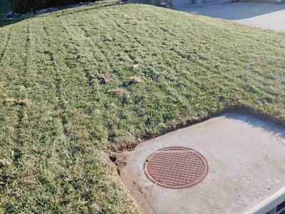 Lawn care service in Independence, 64058