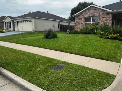 Lawn care service in Arlington, 76002