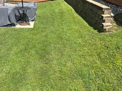 Lawn care service in Chapin, 29036