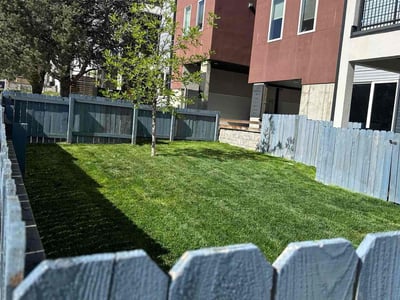 Lawn care service in Denver, 80204