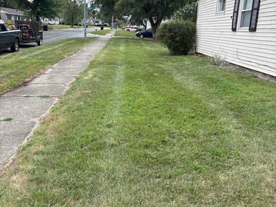 Lawn care service in Gary, 46403
