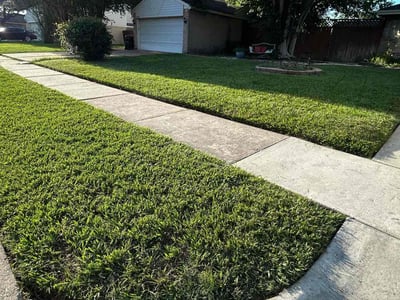 Lawn care service in Houston, 77041