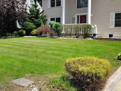 Lawn care service in Edison, 08837