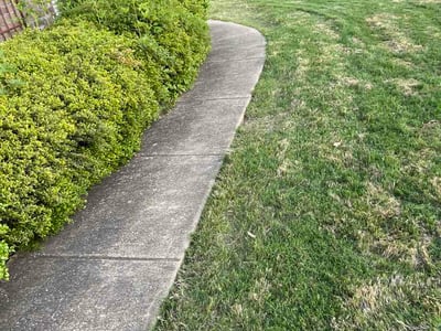 Lawn care service in McCalla, 35111