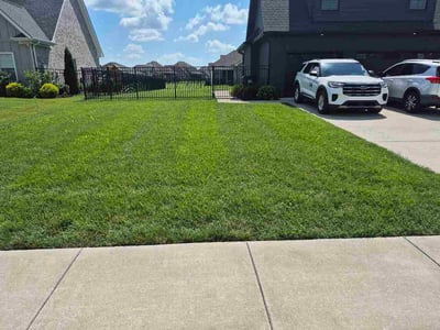 Lawn care service in Murfreesboro, 37127