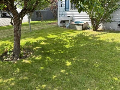 Lawn care service in South Prairie, 98385