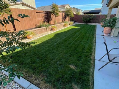 Lawn care service in Roseville, 95747