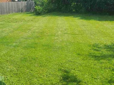 Lawn care service in Orland Park, 60462