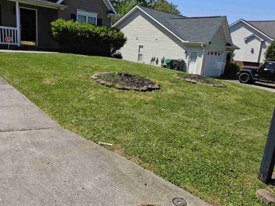 Lawn care service in High Point, 27265