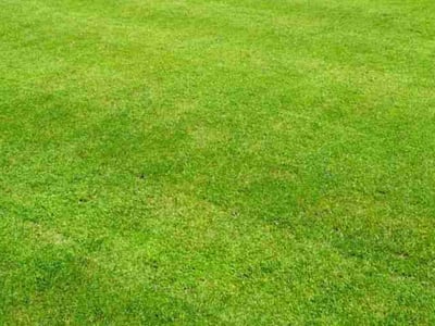 Lawn care service in , 