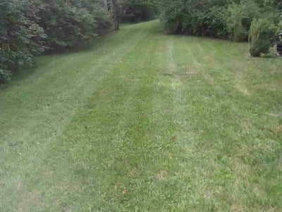 Lawn care service in Dayton, 45458