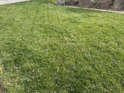 Lawn care service in Holladay, 84117