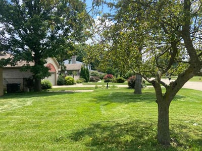 Lawn care service in Sterling Heights, 48314