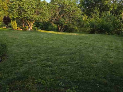 Lawn care service in Canton Township, 48188