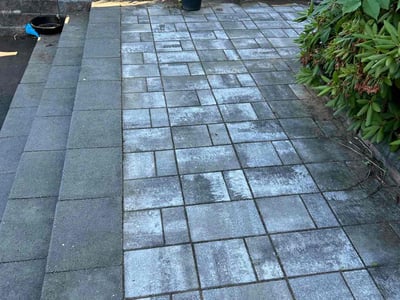 Lawn care service in , 