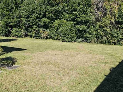 Lawn care service in Ormond Beach, 32174