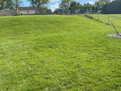 Lawn care service in St. Louis, 63114
