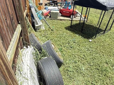 Lawn care service in Denver, 80227