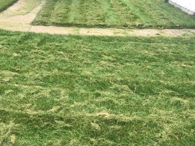 Lawn care service in Kenosha, 53144