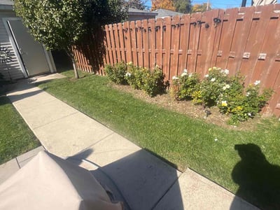 Lawn care service in Chicago, 60618