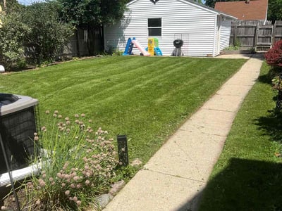 Lawn care service in Milwaukee, 53215