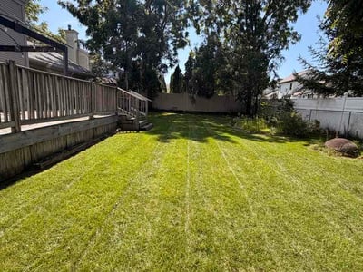 Lawn care service in Delhi charter Township, 48842