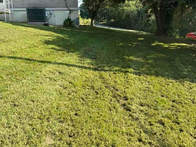 Lawn care service in Rossville, 30741