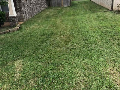 Lawn care service in Memphis, 38125