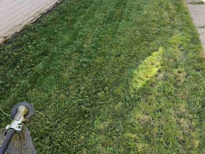 Lawn care service in Minneapolis, 55409