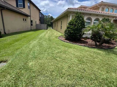 Lawn care service in Zephyrhills, 33543