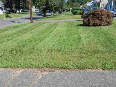 Lawn care service in Springfield, 01119