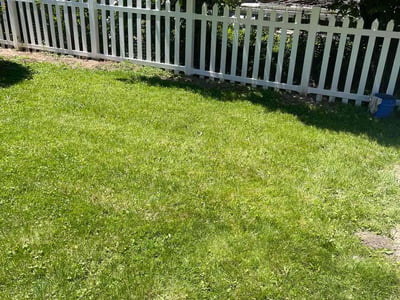 Lawn care service in Fox Point, 53217