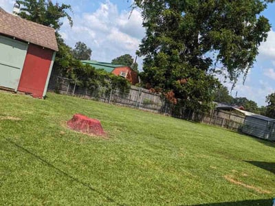 Lawn care service in Lafayette, 70501