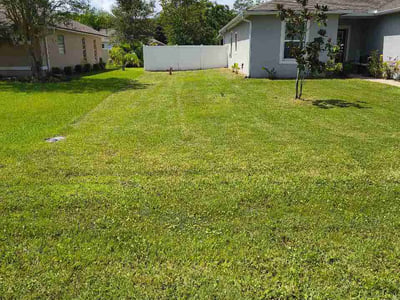 Lawn care service in Palm Coast, 32164