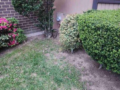 Lawn care service in Gaithersburg, 20886
