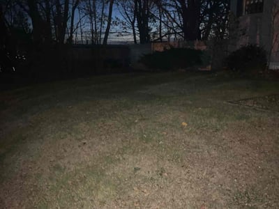 Lawn care service in Shrewsbury, 01545