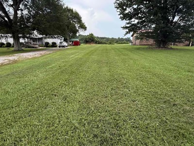 Lawn care service in Hillsboro, 35643