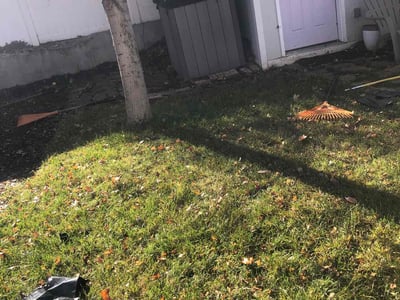 Lawn care service in Salt Lake City, 84109